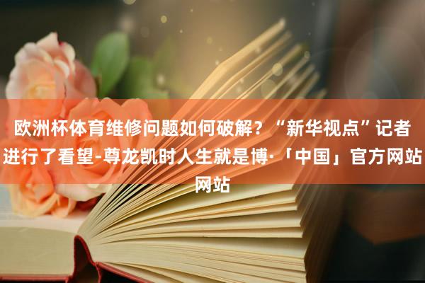 欧洲杯体育维修问题如何破解？“新华视点”记者进行了看望-尊龙凯时人生就是博·「中国」官方网站