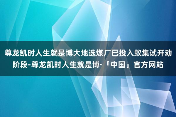 尊龙凯时人生就是博大地选煤厂已投入蚁集试开动阶段-尊龙凯时人生就是博·「中国」官方网站