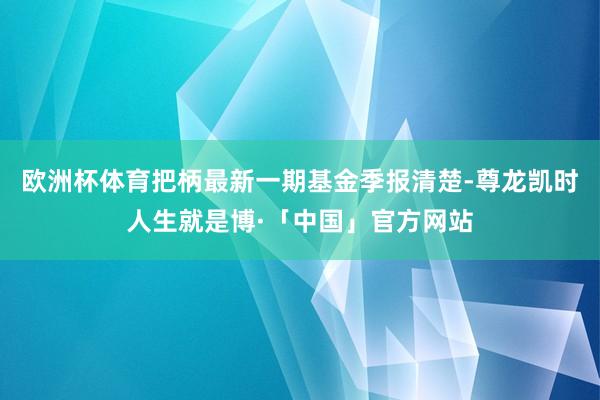 欧洲杯体育把柄最新一期基金季报清楚-尊龙凯时人生就是博·「中国」官方网站