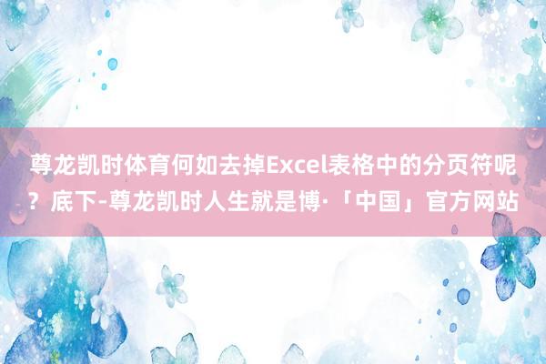 尊龙凯时体育何如去掉Excel表格中的分页符呢？底下-尊龙凯时人生就是博·「中国」官方网站