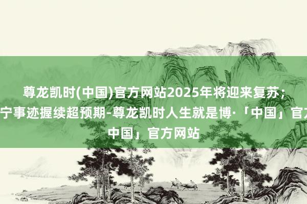 尊龙凯时(中国)官方网站2025年将迎来复苏；3）康宁事迹握续超预期-尊龙凯时人生就是博·「中国」官方网站