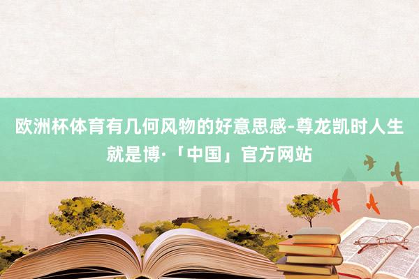 欧洲杯体育有几何风物的好意思感-尊龙凯时人生就是博·「中国」官方网站