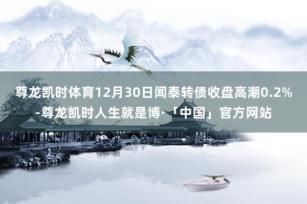 尊龙凯时体育12月30日闻泰转债收盘高潮0.2%-尊龙凯时人生就是博·「中国」官方网站